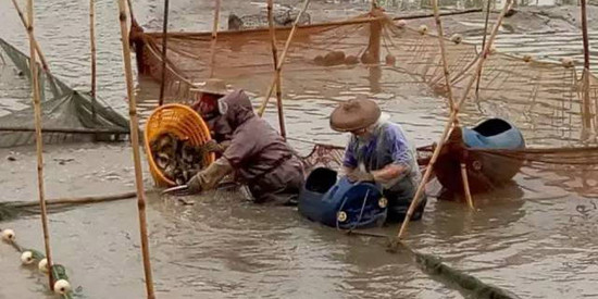 水產養殖水質檢測項目及標準