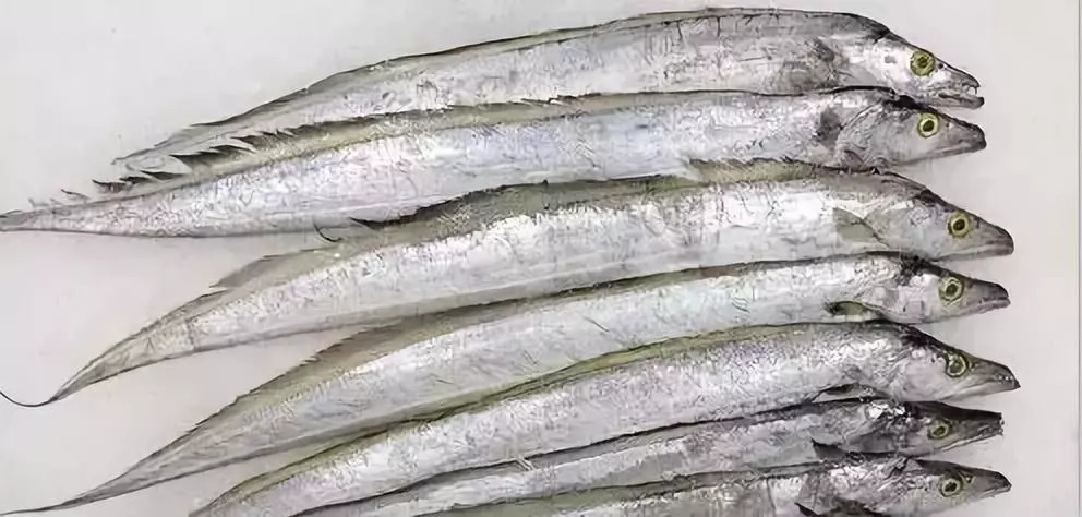 安徽帶魚檢測(cè)，帶魚檢測(cè)報(bào)告檢測(cè)什么？