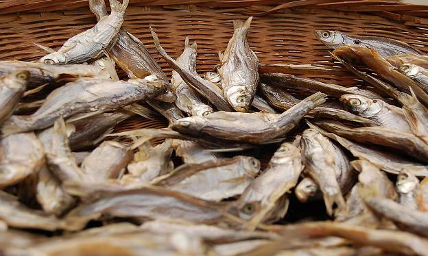 合肥魚干檢測項目和標準是什么？